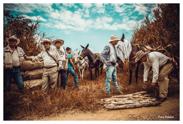 arrieros-polaco