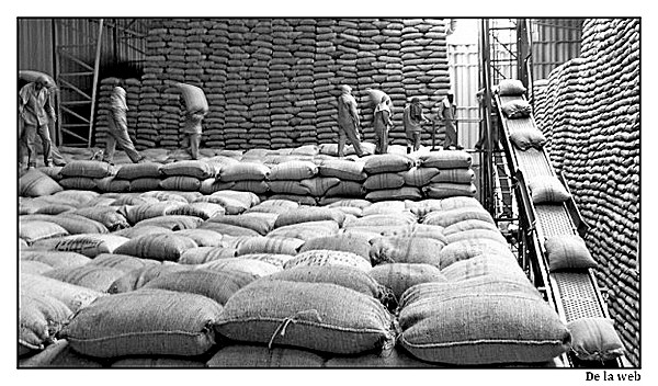Dry mill operations of Empresas de NariÒo, Colombia.