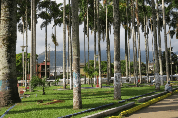 parqeu las palmas.png