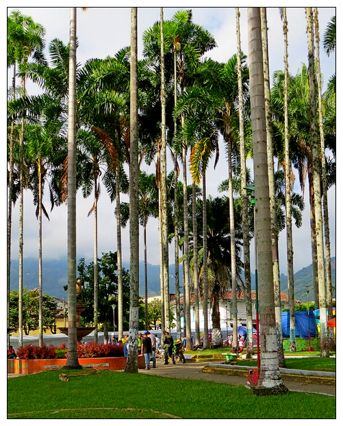 parque las palmas 2.png