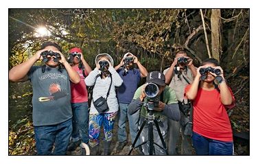 observadores de aves