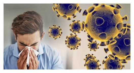 coronavirus-graphic-web-feature_1